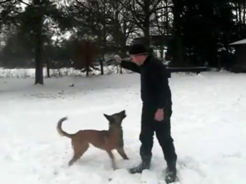 Be Aware Daika @ Unterordnung 15 Monate