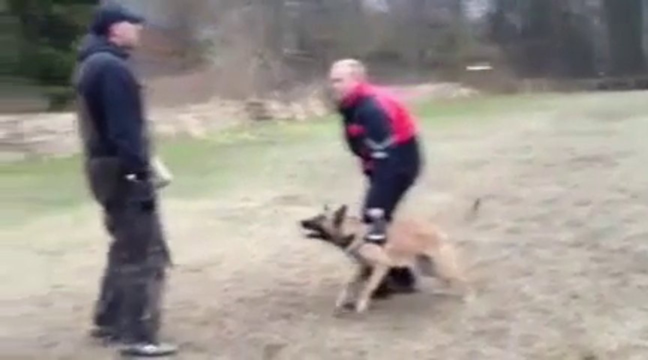 Be Aware Daika @ SD Aufbau