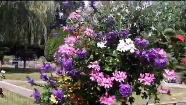 la vilaine à vélo au fil de l'eau avec mario et son petit vélo de RENNES à REDON