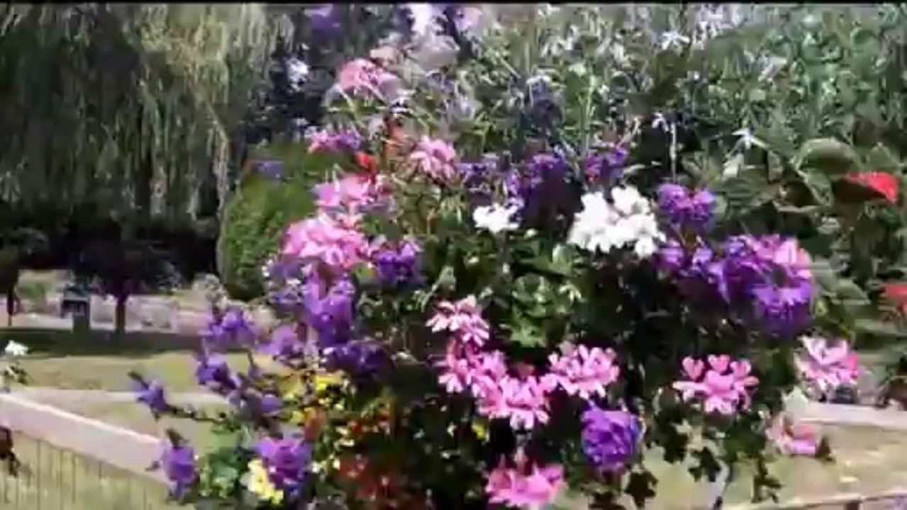 la vilaine à vélo au fil de l'eau avec mario et son petit vélo de RENNES à REDON