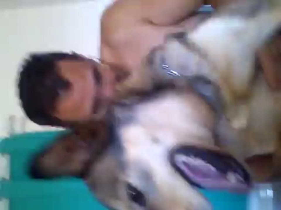 loki un chien expressif.. lol
