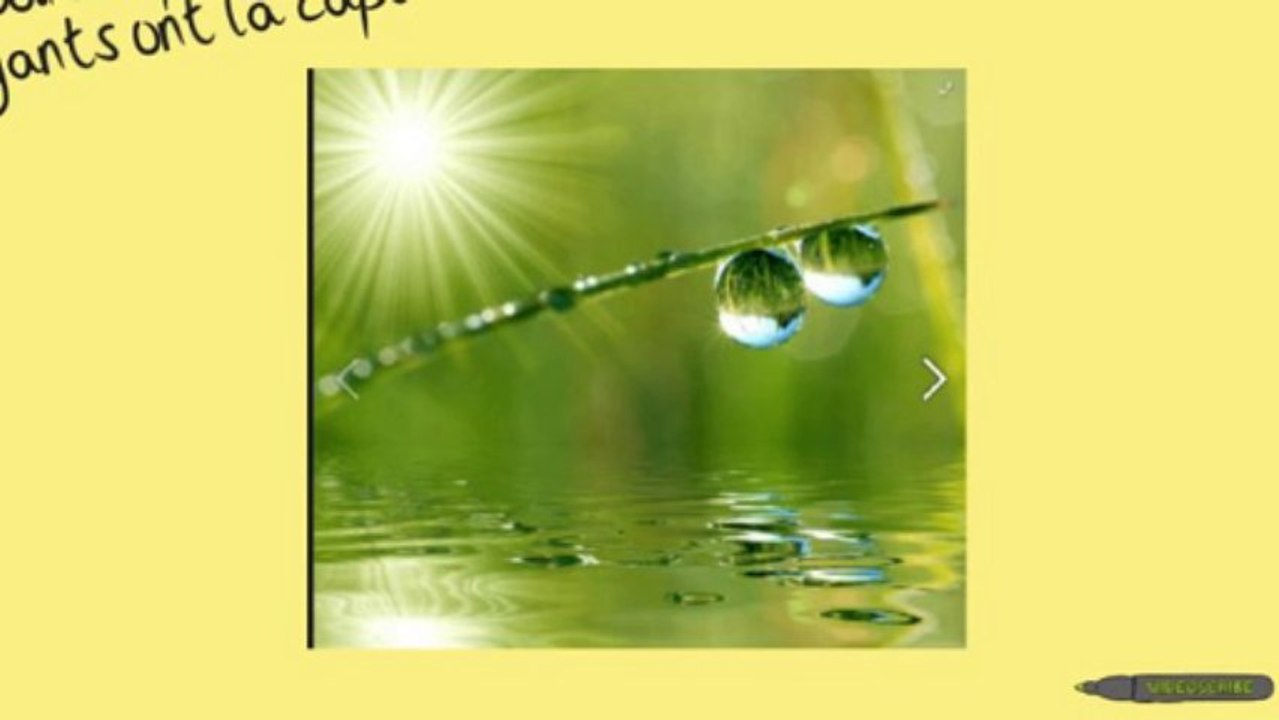 Voyance Web