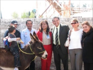 ¡Burros listos para ir a la escuela! 🐴