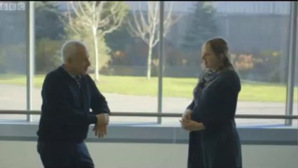 cultural-metamorphosis