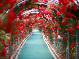 Güler Duman YARSIZ ÇEKİLMİYOR DÜNYANIN KAHRI