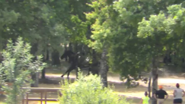 13-07-24 - Cross CCE Club élite Lamotte 2013