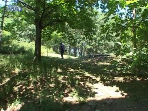 Besplatan info telefon u JKP “3. Oktobar“ Bor, 02. avgust 2013.