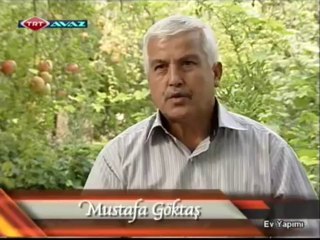 Ev Yapımı-Nar Ekşisi-2013-03-12