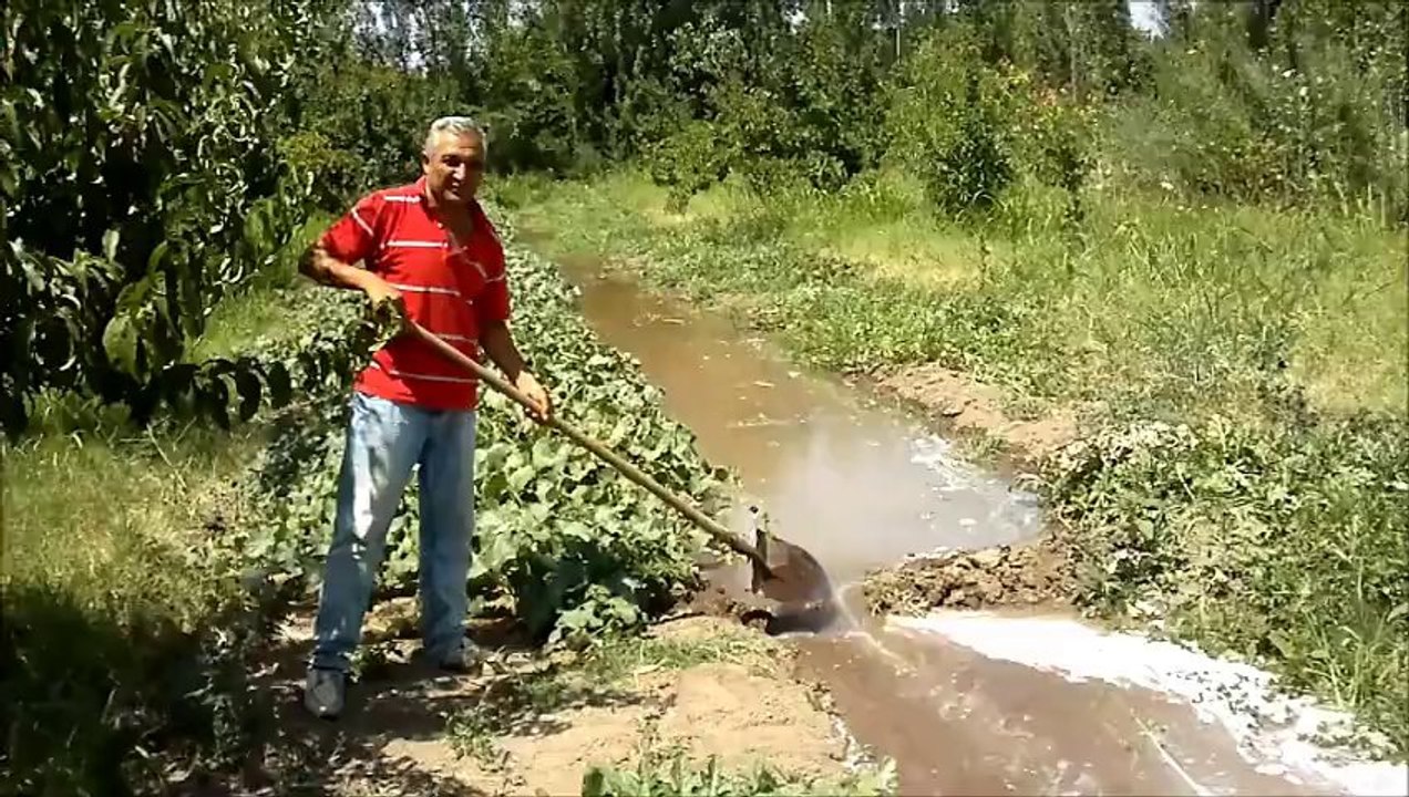 HAKVEYİS TURU