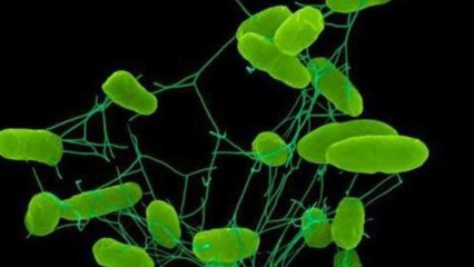 Witness - Invisible Threat