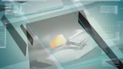 SC Pest Control LLC - (803) 236-7465