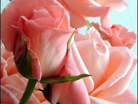 OSMAN ÖZCAN UŞŞAK EZAN