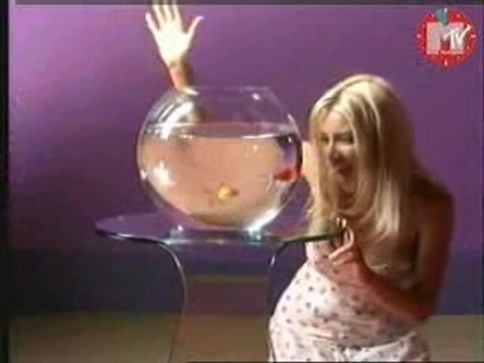 danni minogue---all i wanna do