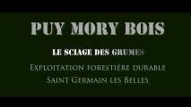 Vidéo / PUY MORY BOIS - Le sciage des grumes