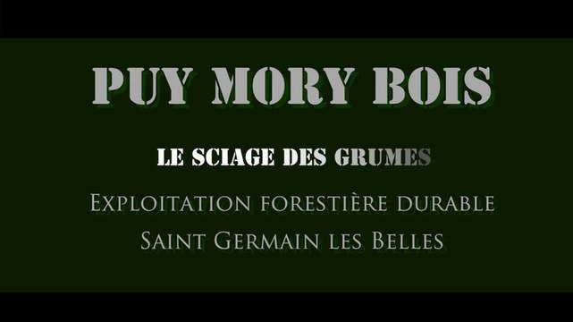 Vidéo / PUY MORY BOIS - Le sciage des grumes