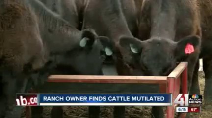Mutilated Cows Found at Missouri Farm