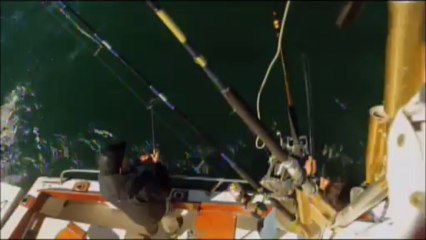 Mordu de la pêche - USA - Cote Est