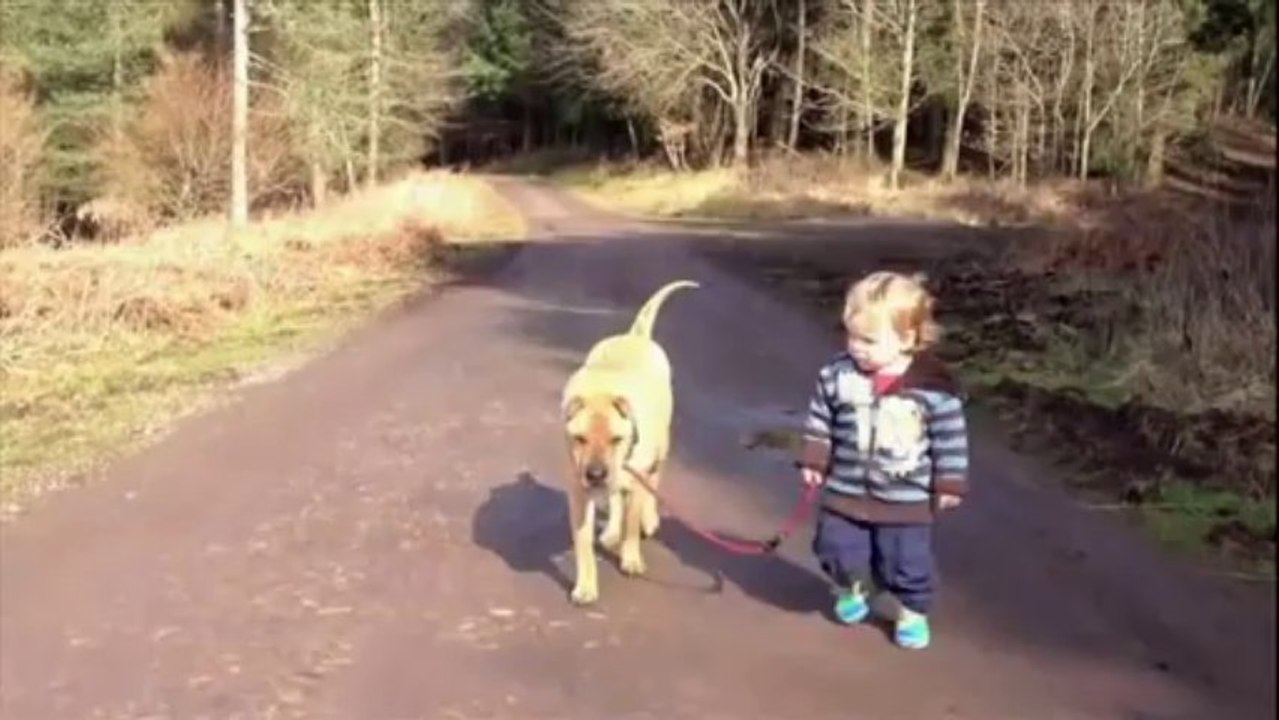 Köpekle cocugun mükemmel dostluğu
