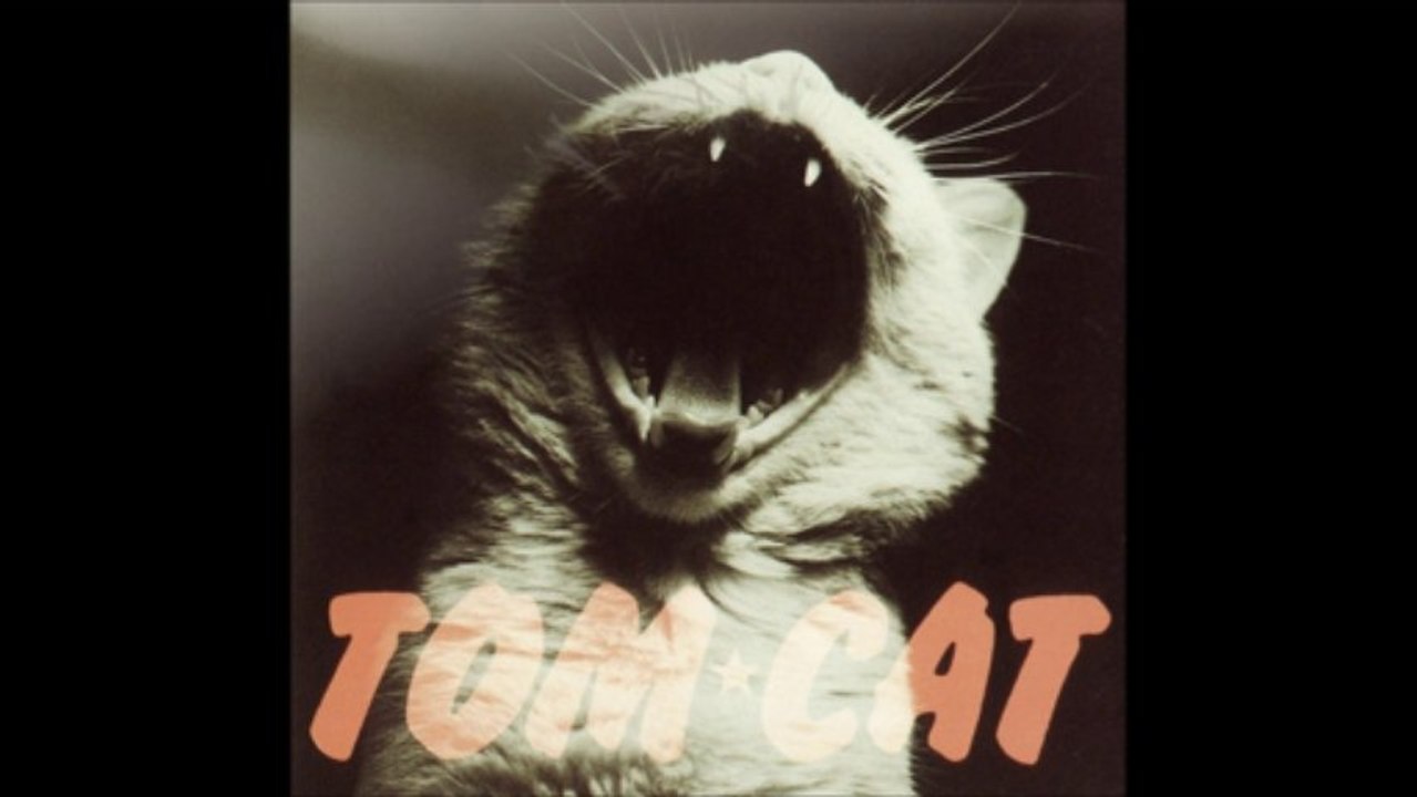 TOM☆CAT　MIDNIGHT ANGELS