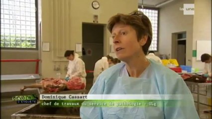 Montana1008zepekak Reportage_Devoir d'enquête - [_Confessions pédophiles_] -partie 2sur2