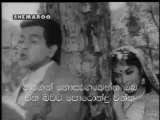 Song_ Dil Tadap Tadap Ke Film_ Madhumathi (1958) with Sinhala Subtitles