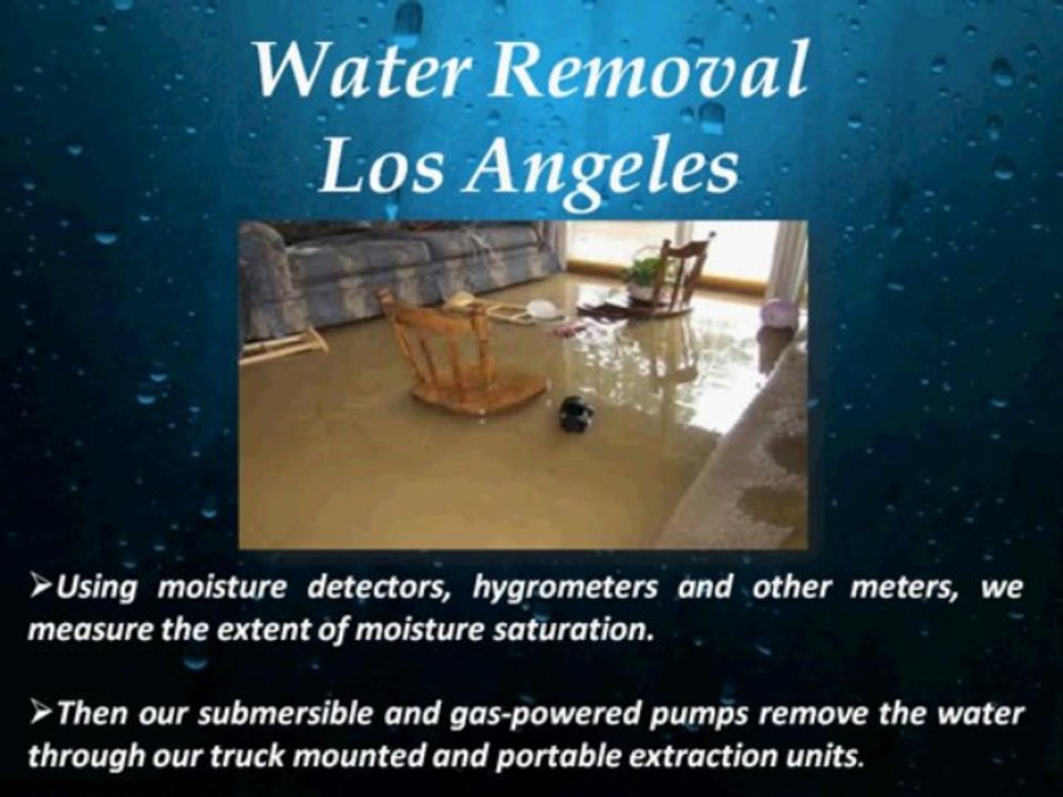 Waterprorestorationservices in Losangles