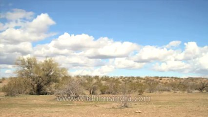 Arizona Landscape USA time lapse 1