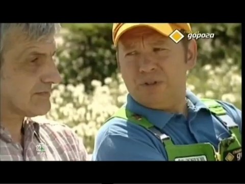 Главная дорога 03.08
