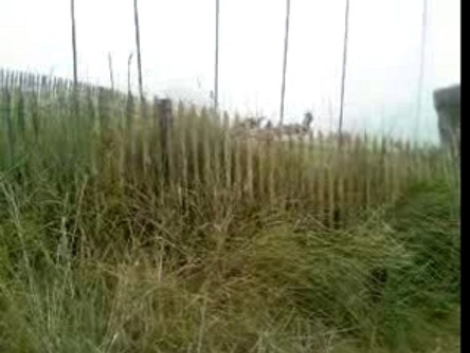 ta des sales jeux quant ourre