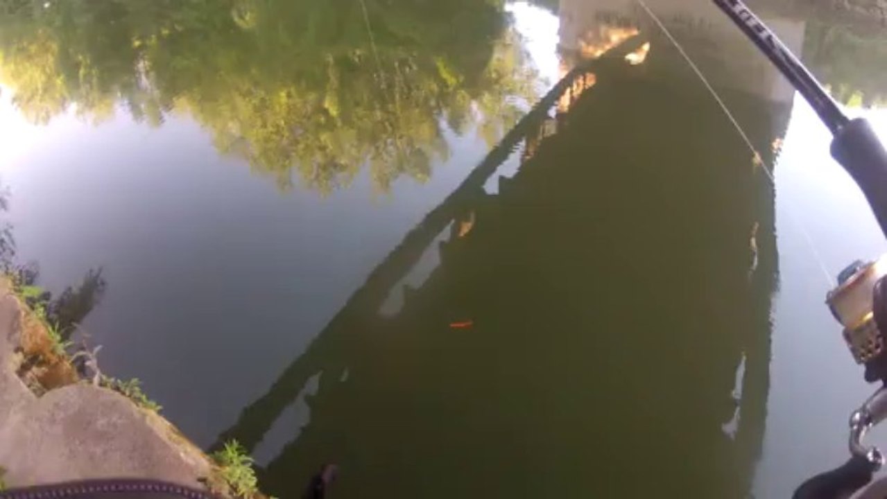 Test-nage-shad