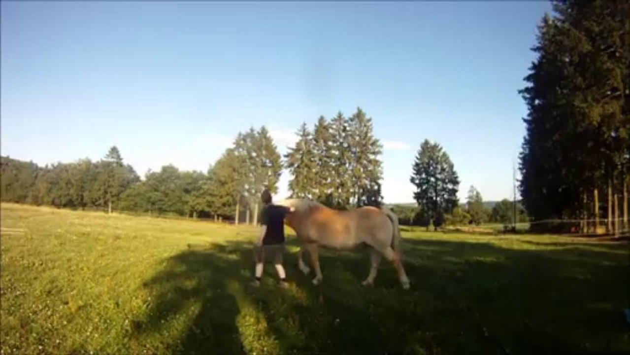 Aramis et Perine - 04.08.13