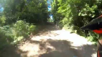 Sortie quad à larchant