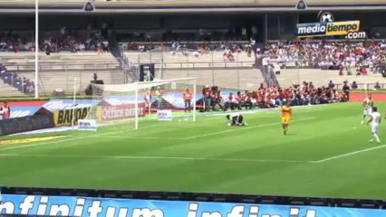 Siento pena con la afición: Torres Servín