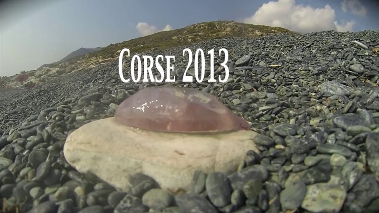 Corse 2013
