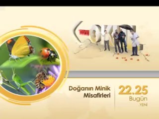 Doğanın Minik Misafirleri 'Insectescope' 22.25'te TRT Okul'da