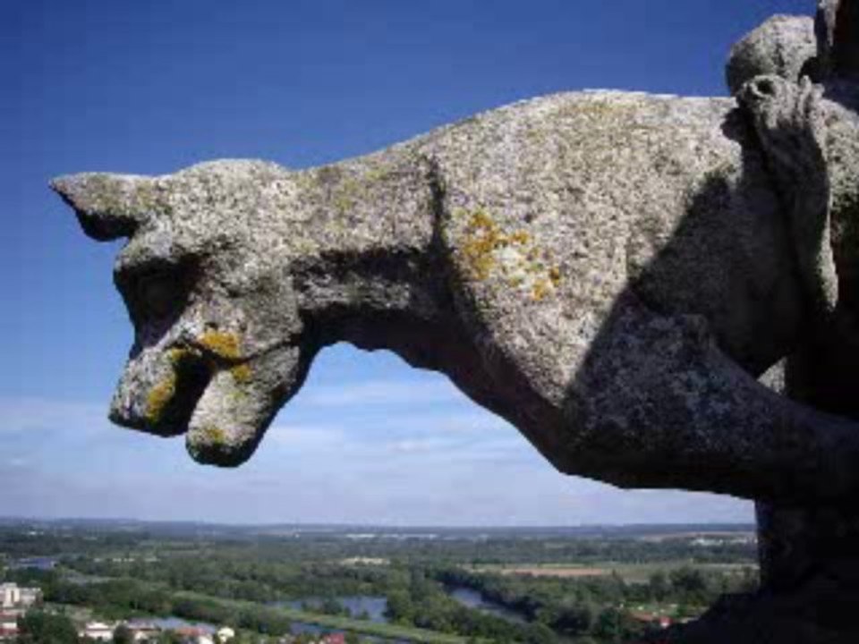 Trésor d'Histoires-Présentation-gargouille-Cathédrale de Toul
