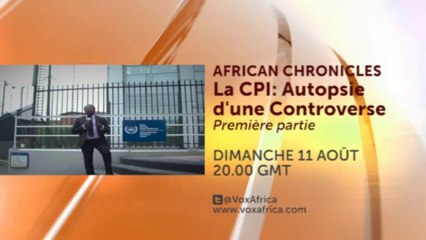 Cour pénale internationale, autopsie d'une controverse