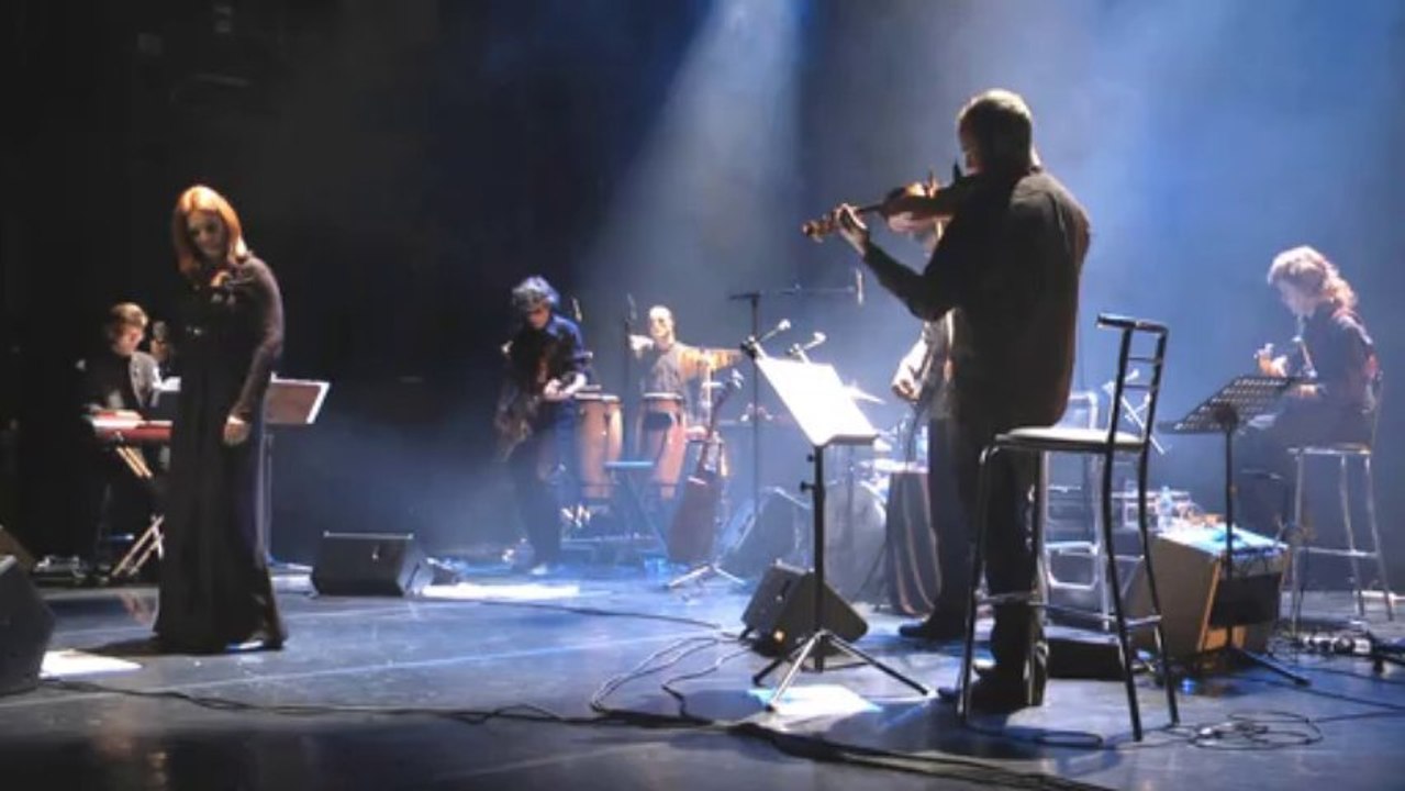 Fabienne Stein - Rêve de liberté