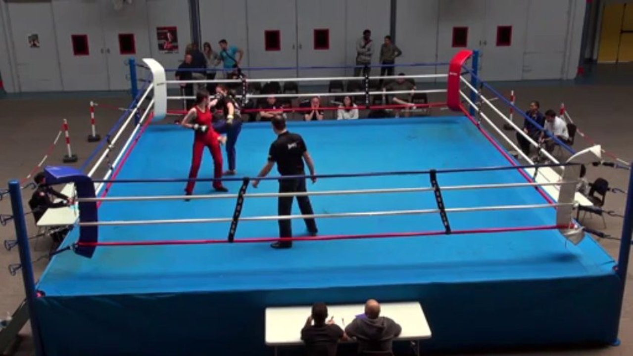 Savate Boxe Française, Gala de Paris 2013, assaut 010
