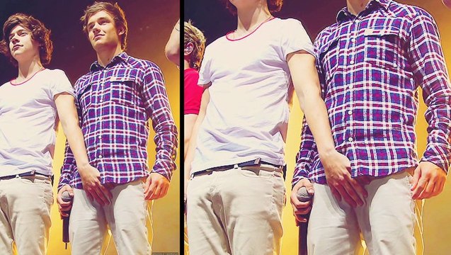 Harry Styles Has Gotten Laid How Many Times - How Many Times Did Harry Styles Had Sex ?