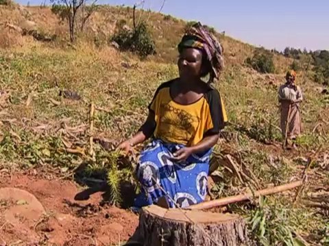 Globo Repórter - Globo Repórter - Moçambique, 02 08 2013 globo.tv