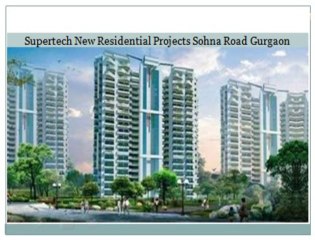 Latest News{}{}9910011579{}{}Supertech Sohna Road sector 68