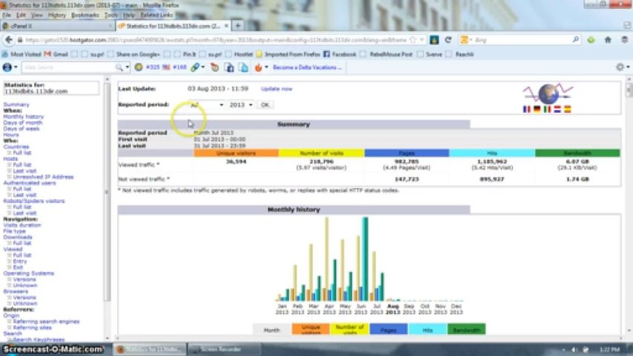 July 2013 traffic for 113tidbits.com