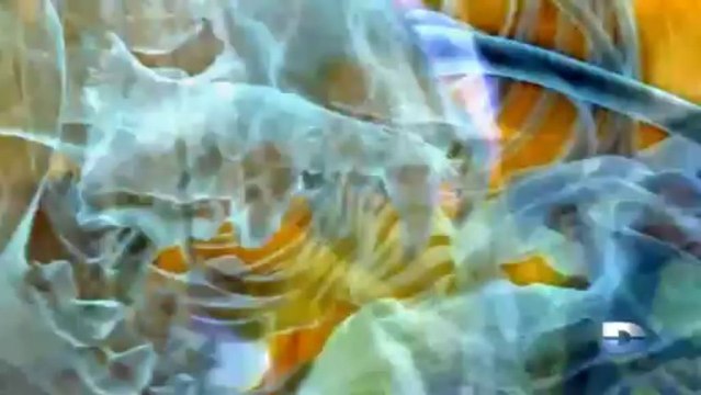 Dévoré vivant - Les tueurs de la savane