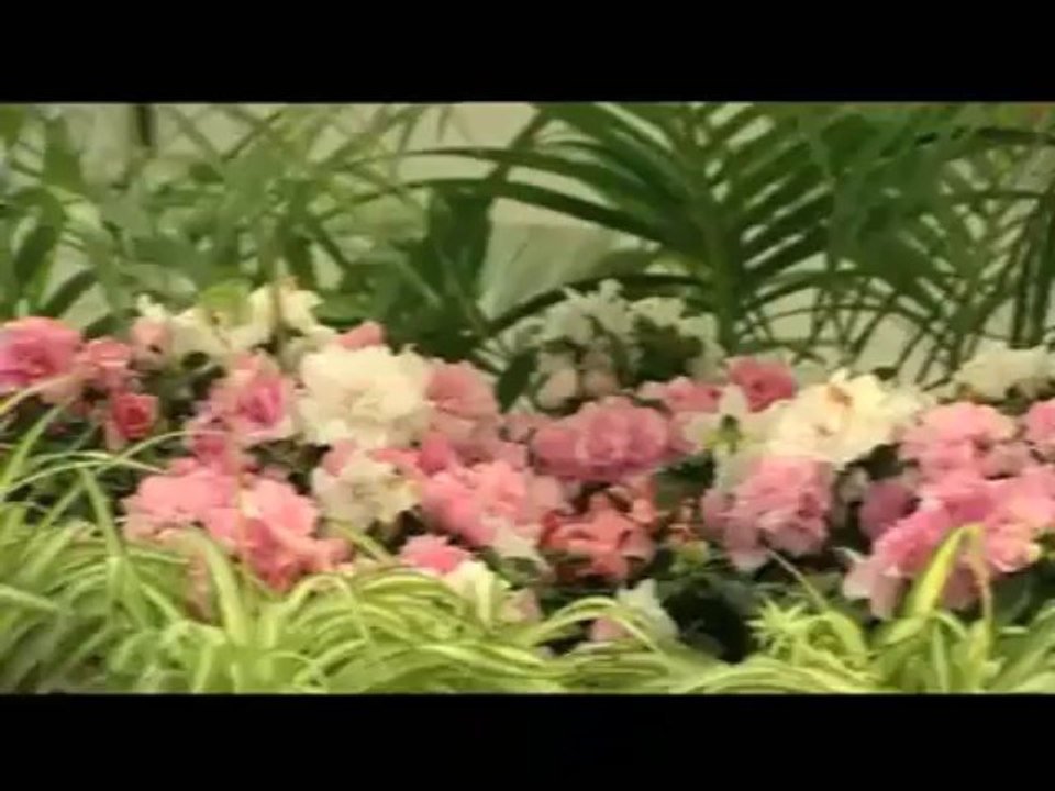 Benim Küçük Bahçem, 22 Ağustos Pazartesi 14.25'te TRT Okul'da