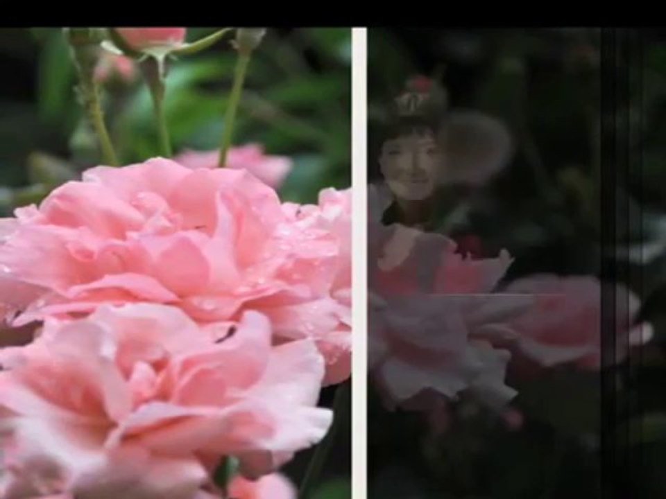 Bilgisayar Öğreniyorum, 17 Mayıs Cuma 15.55'te TRT Okul'da