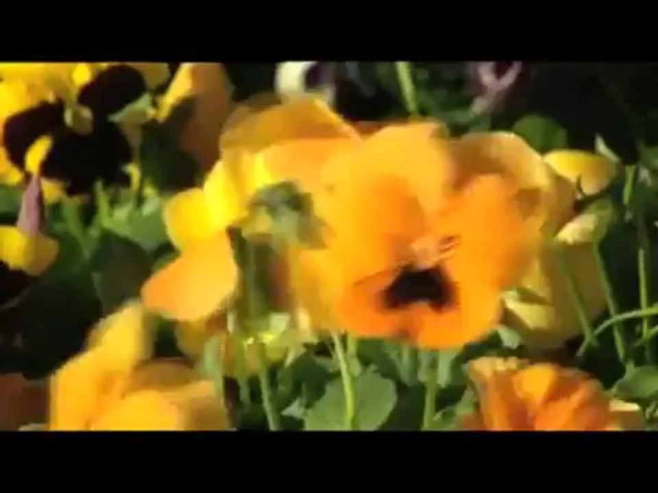 Benim Küçük Bahçem, 5 Eylül Pazartesi 14.25'te TRT Okul'da