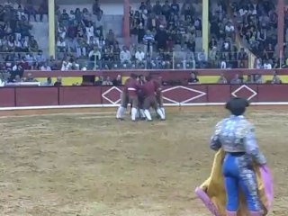 RICARDO PAIVA AMADORES DA AZAMBUJA PEGA TOIRO FALÉ FILIPE NA NAZARÉ