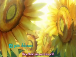 Sunflowers - Pure Imagination