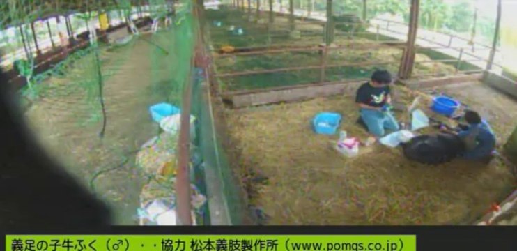 20130728 針さん、ぎんちゃん②